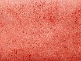 《星空》Steam版史低促销 国区售价208.6元